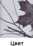 Костюм "Иней" зимний лес р.60-62 (Чайка)